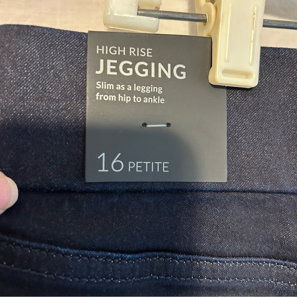 Lane Bryant Jeggings 16P High Rise Pull On Comfy Easy Wear - Picture 6 of 12